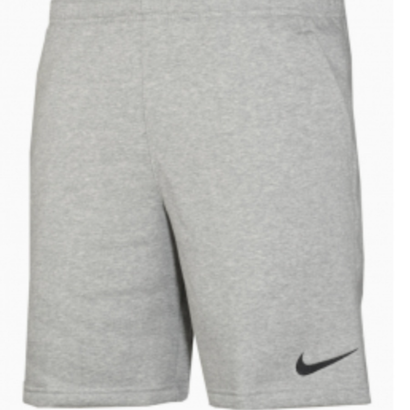 Nike Mens Shorts Grey Main Image